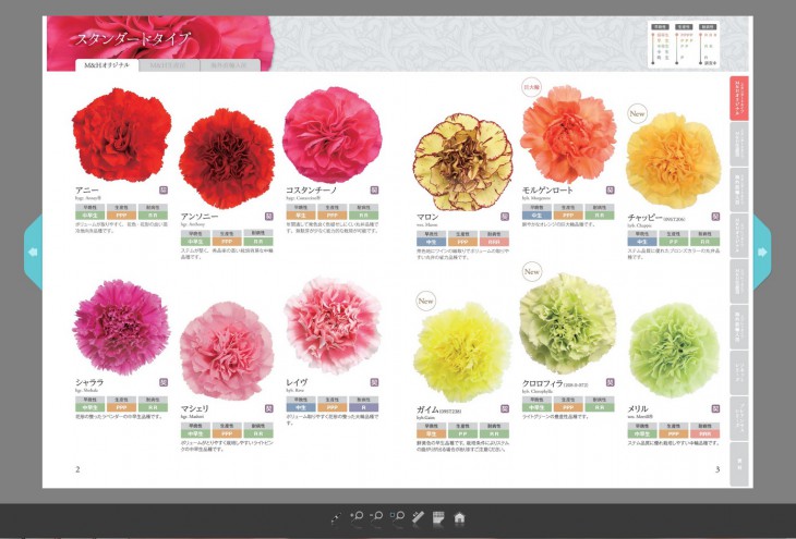 カタログビュー